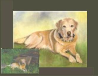 dog portrait in oils